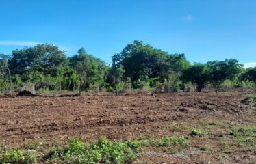 Half-Acre Sectional Title Plots for Sale – Galu, 3rd Row from the Beach