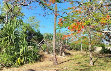 Prime 1-Acre First Row Plot for Sale – Kongo Estuary, Diani Beach