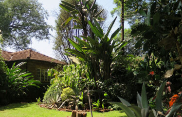 Chalbi Drive, Lavington – 0.8-Acre Development Property for Sale