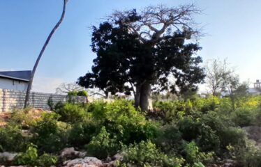 PRIME 6-ACRE BLOCK FOR SALE – GALU