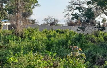 PRIME 6-ACRE BLOCK FOR SALE – GALU