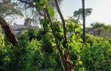 PRIME 6-ACRE BLOCK FOR SALE – GALU