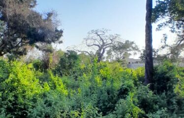 PRIME 6-ACRE BLOCK FOR SALE – GALU