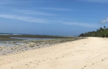 12.5-Acre Beachfront Property in Msambweni