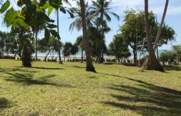 12.5-Acre Beachfront Property in Msambweni