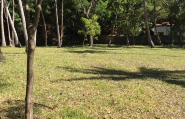 12.5-Acre Beachfront Property in Msambweni