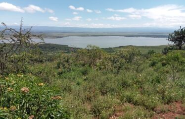 LAKE ELEMENTAITA VIEWS- Half Acre for Sale