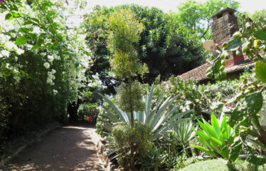 Chalbi Drive, Lavington – 0.8-Acre Development Property for Sale