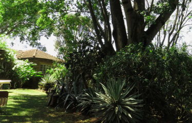 Chalbi Drive, Lavington – 0.8-Acre Development Property for Sale