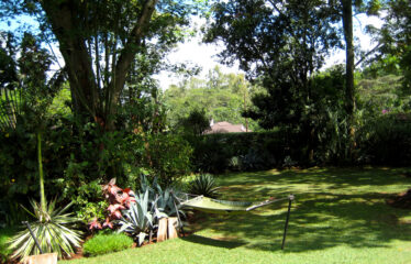 Chalbi Drive, Lavington – 0.8-Acre Development Property for Sale