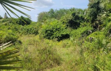 Half Acre for Sale in Mwabungo, Diani