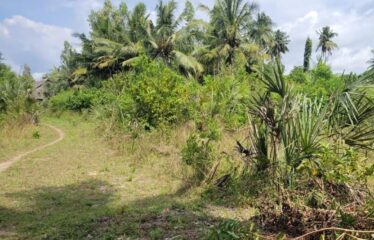 Half Acre for Sale in Mwabungo, Diani