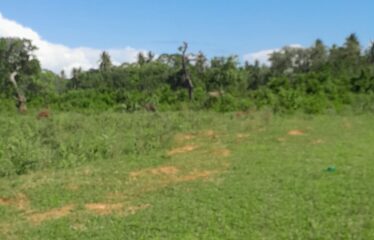 2 ACRE COMMERCIAL LAND FOR SALE IN WAA, LUNGA LUNGA  HIGHWAY