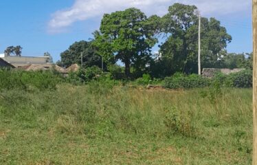 2 ACRE COMMERCIAL LAND FOR SALE IN WAA, LUNGA LUNGA  HIGHWAY