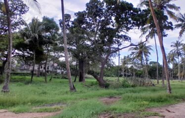 43 Acres of Prime Beachfront Land in Diani