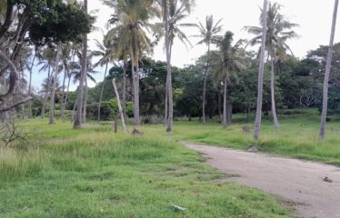 43 Acres of Prime Beachfront Land in Diani