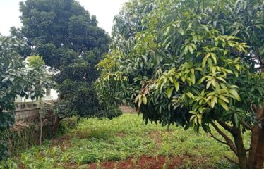 FOR SALE: Prime ½ Acre Residential Plot – Rosslyn Area