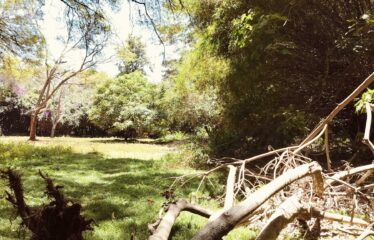 Prime 5-Acre Land for Sale – Kilimani, Off Kabarnet Gardens