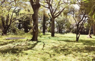 Prime 5-Acre Land for Sale – Kilimani, Off Kabarnet Gardens