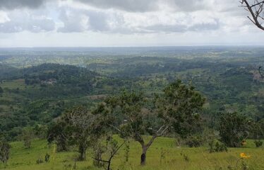1 ACRE FOR SALE- MWAPALA, SHIMBA HILLS WITH PANORAMIC OCEAN VIEWS