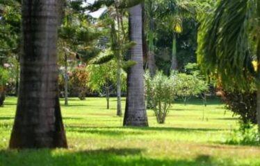 Villa for Sale – Galu