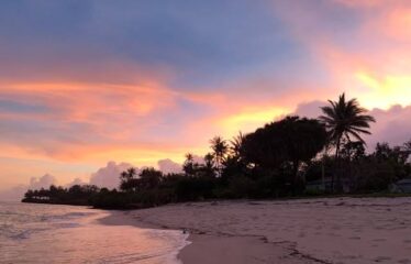 43 Acres of Prime Beachfront Land in Diani
