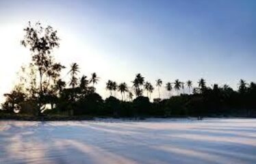 43 Acres of Prime Beachfront Land in Diani