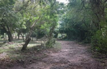 BAHARI BORA ESTATE PRIME BEACHFRONT PLOTS FROM BEACH ROAD TO THE OCEAN FOR SALE IN DIANI