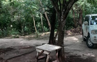 BAHARI BORA ESTATE PRIME BEACHFRONT PLOTS FROM BEACH ROAD TO THE OCEAN FOR SALE IN DIANI