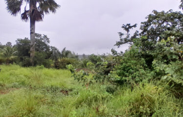 Prime 5-Acre Land for Sale in Masindeni, Kwale