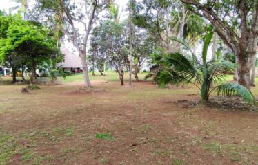 Prime 3-Acre Beachfront Property for Sale – Kikambala, North Coast