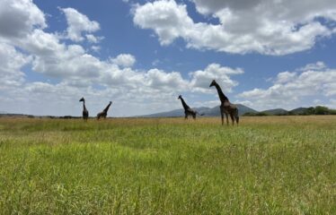 PRIME 540-ACRE RIVER RANCH FARM FOR SALE – BISIL, KAJIADO COUNTY