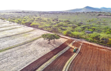 PRIME 540-ACRE RIVER RANCH FARM FOR SALE – BISIL, KAJIADO COUNTY