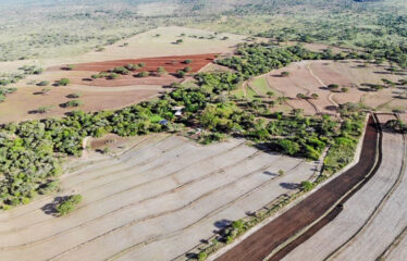 PRIME 540-ACRE RIVER RANCH FARM FOR SALE – BISIL, KAJIADO COUNTY