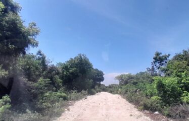 DIANI – BAHARI BORA ESTATE PRIME BEACHFRONT PLOTS FOR SALE