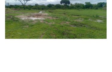 Prime 100 Acres for Sale in Msambweni- Majoreni, Kwale