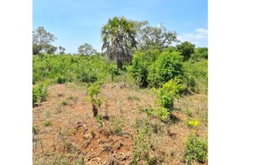 Prime 100 Acres for Sale in Msambweni- Majoreni, Kwale