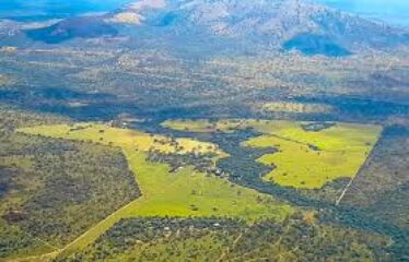 PRIME 540-ACRE RIVER RANCH FARM FOR SALE – BISIL, KAJIADO COUNTY