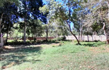 DIANI PLOTS FOR SALE -TALA ESTATE -OFF DIANI BEACH RD.