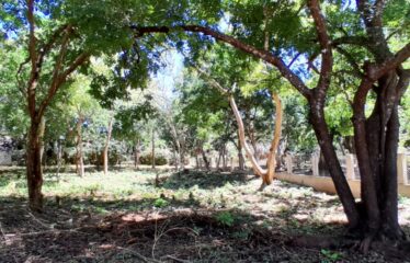 DIANI PLOTS FOR SALE -TALA ESTATE -OFF DIANI BEACH RD.