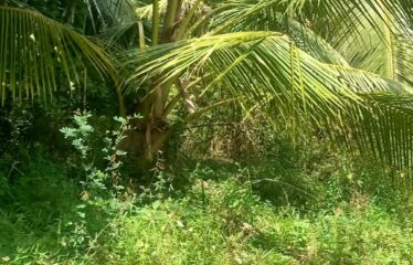 18 ACRE FARM , SHIMBA HILLS FOR SALE