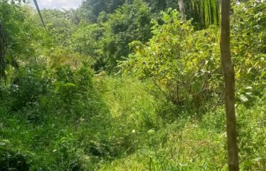 18 ACRE FARM , SHIMBA HILLS FOR SALE