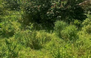 18 ACRE FARM , SHIMBA HILLS FOR SALE
