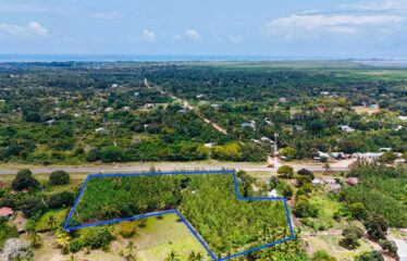 KINONDO GREENS – PHASE 1 FOR SALE! GALU 1/8 ACRE PLOTS @ KSH 2M EACH