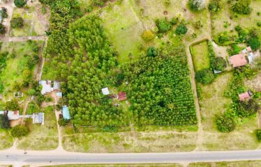 KINONDO GREENS – PHASE 1 FOR SALE! GALU 1/8 ACRE PLOTS @ KSH 2M EACH