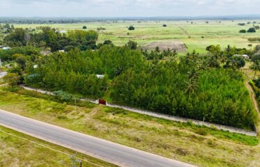 KINONDO GREENS – PHASE 1 FOR SALE! GALU 1/8 ACRE PLOTS @ KSH 2M EACH