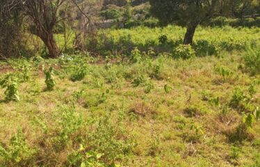 PRIME RESIDENTIAL LAND FOR SALE – NGONG HILLS  