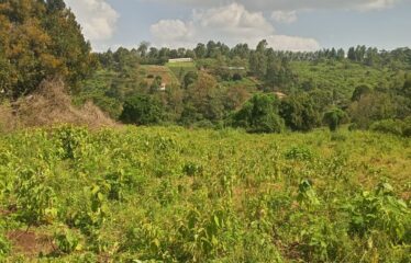 PRIME RESIDENTIAL LAND FOR SALE – NGONG HILLS  