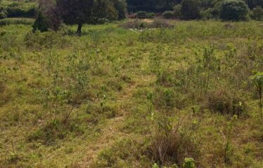 PRIME RESIDENTIAL LAND FOR SALE – NGONG HILLS  