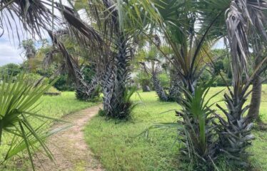 LUXURIOUS BEACHFRONT FOR SALE – KOMBANI, KWALE